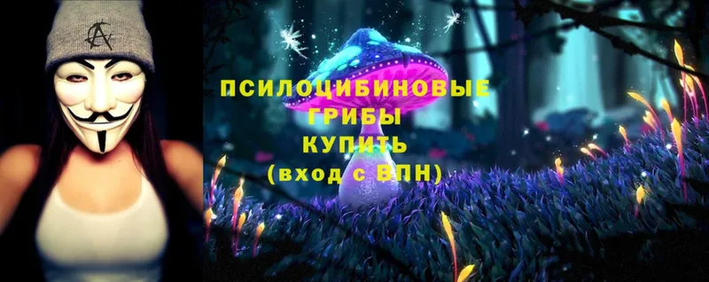 Псилоцибиновые грибы Cubensis  как найти закладки  Богородицк 